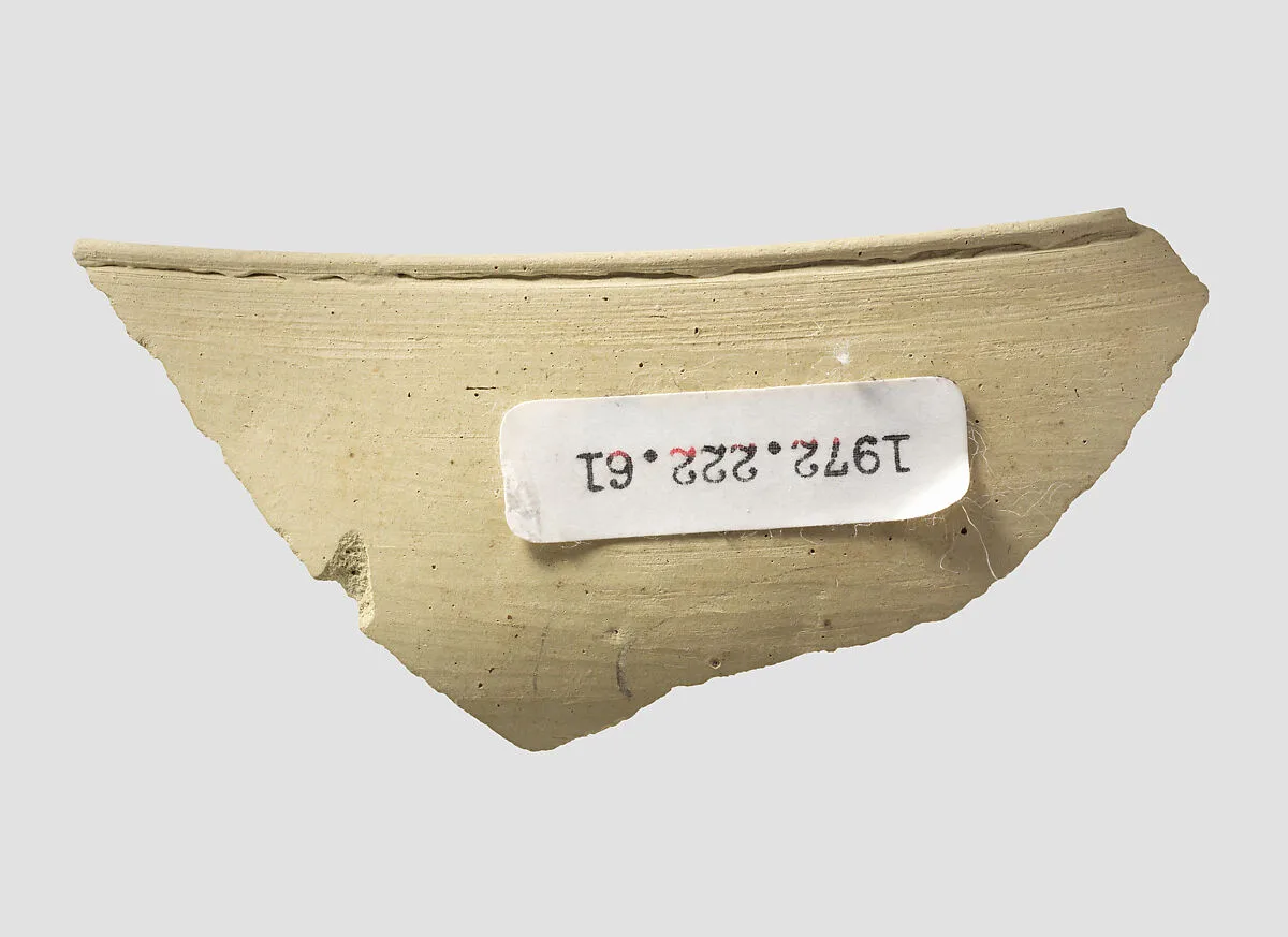 Bowl rim sherd — Unknown