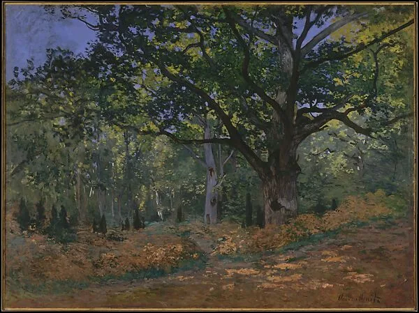 The Bodmer Oak, Fontainebleau Forest — Claude Monet