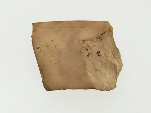 Magic wand fragment