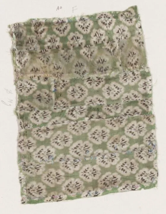 Fragment — Unknown