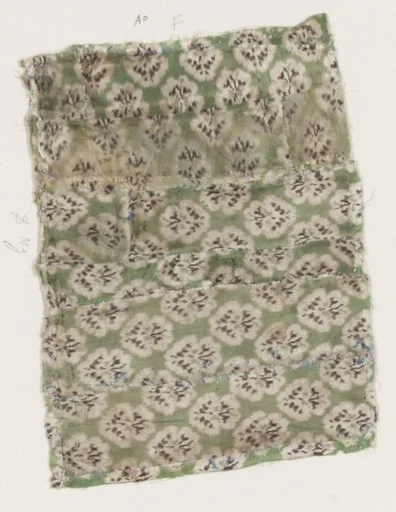 Fragment