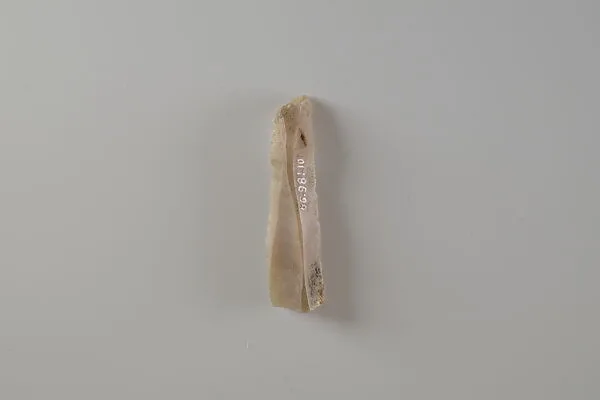Blade Fragment — Unknown