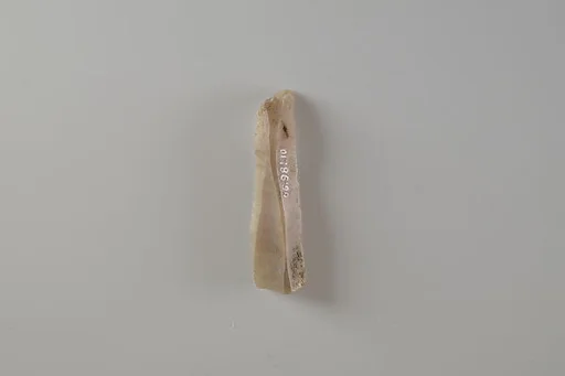Blade Fragment