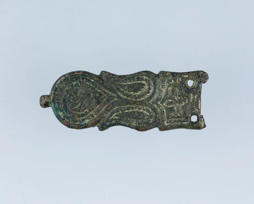 Buckle Shank