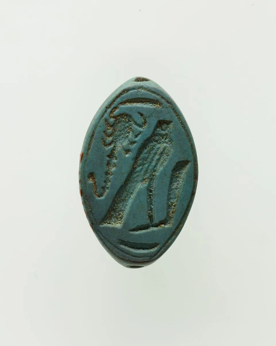 Cowroid Seal-Amulet — Unknown