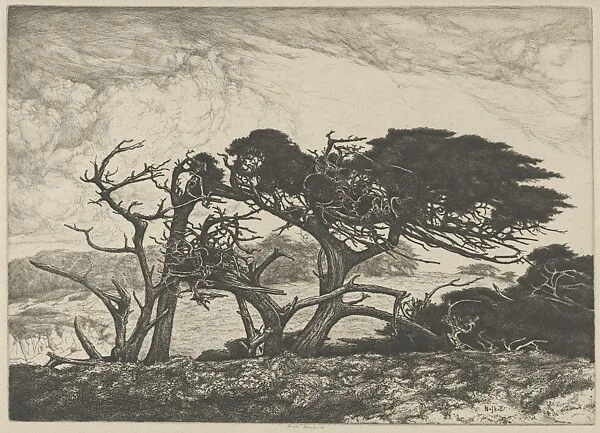 El Torro — Ernest Haskell