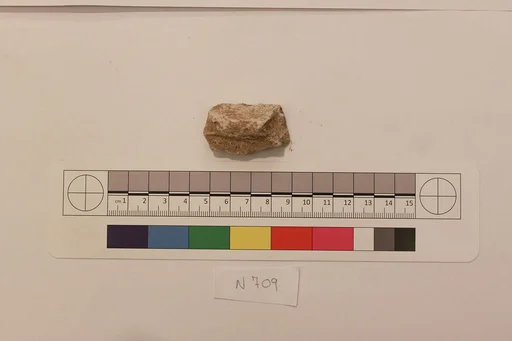 Stucco Fragment