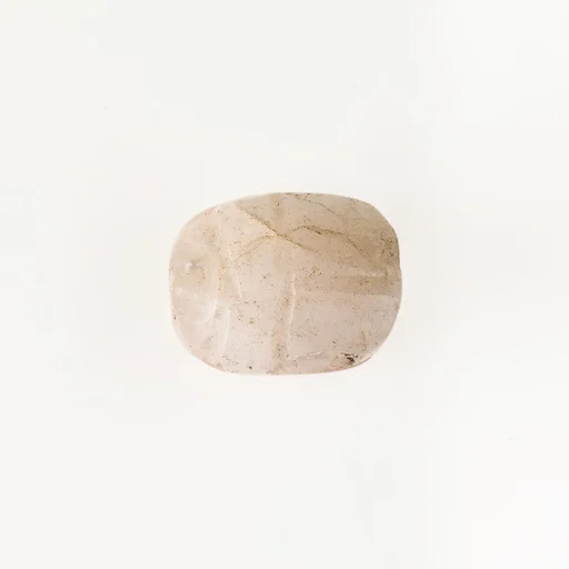 Scarab