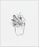 Pansy I-VIII — Sara Sanders|PS Marlowe Inc.|Phil Sanders
