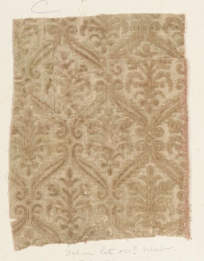 Fragment — Unknown
