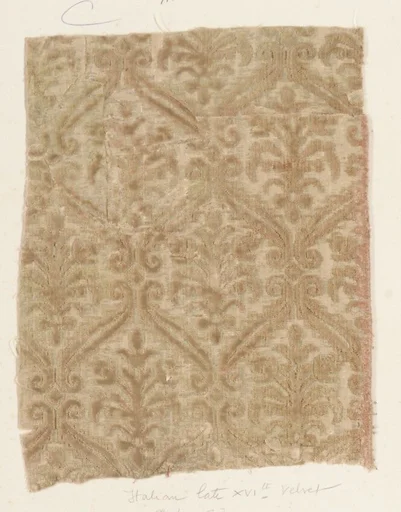 Fragment