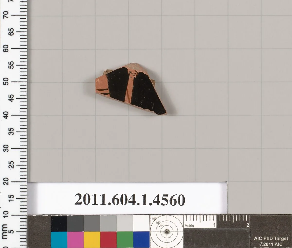 Terracotta fragment of a kylix (drinking cup) — Unknown