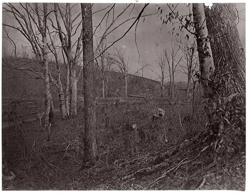 Bull Run, Virginia