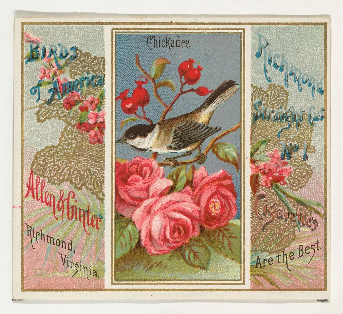 Chickadee, from the Birds of America series (N37) for Allen & Ginter Cigarettes — Allen & Ginter