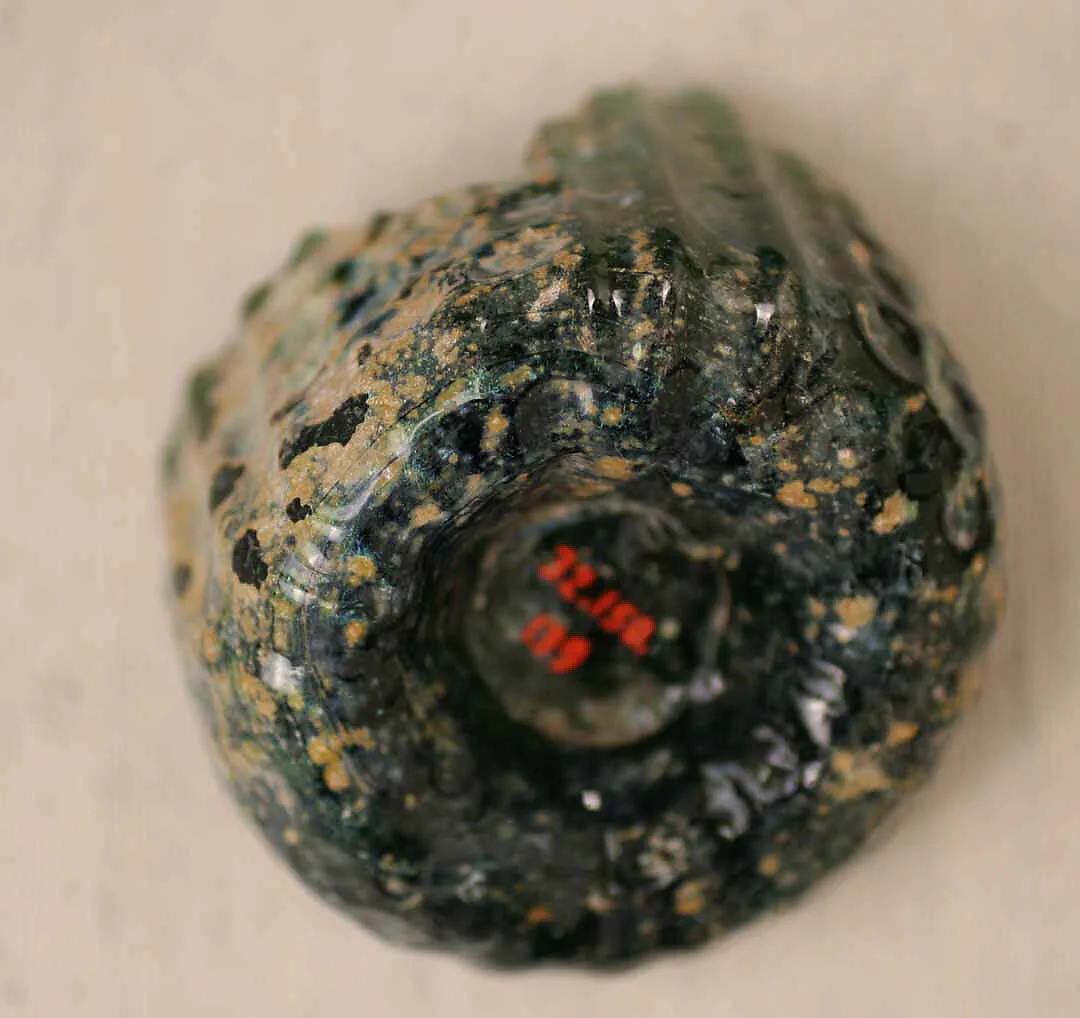 Fragment of a Bottle — Unknown