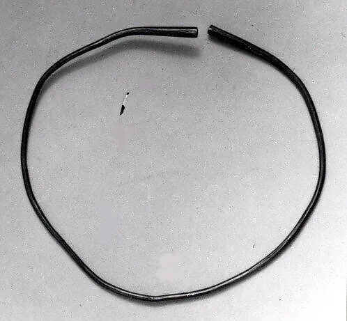 Nose Ornament or Bracelet — Unknown