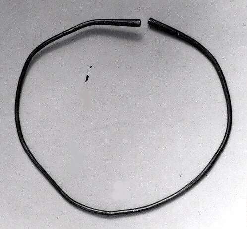 Nose Ornament or Bracelet