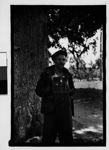 [Man Wearing Cap and Overalls Standing Next to Tree, Hale County?, Alabama]