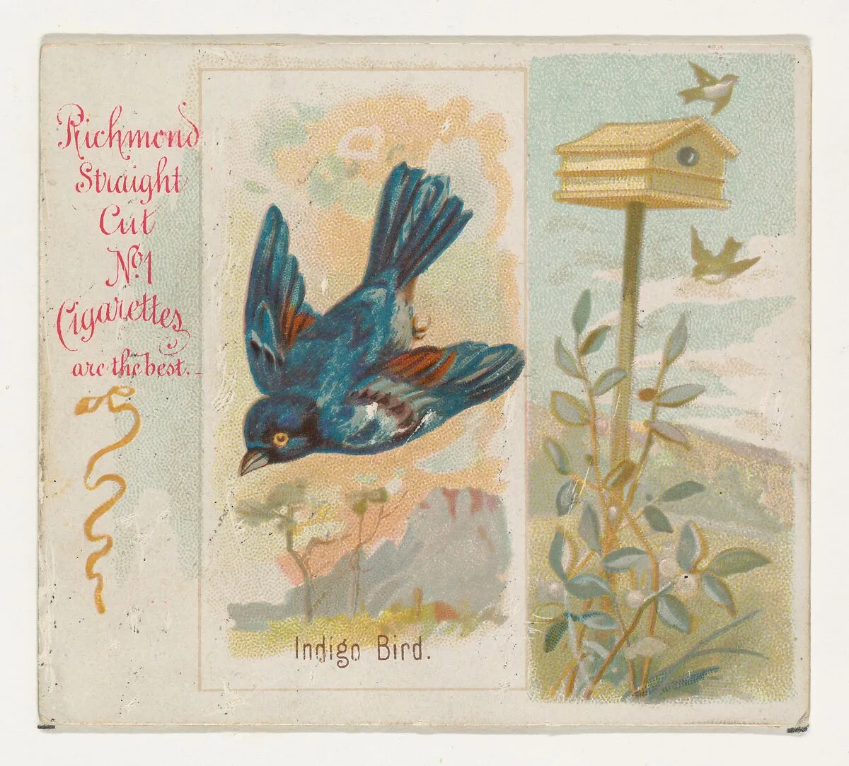 Indigo Bird, from the Song Birds of the World series (N42) for Allen & Ginter Cigarettes — Allen & Ginter|George S. Harris & Sons