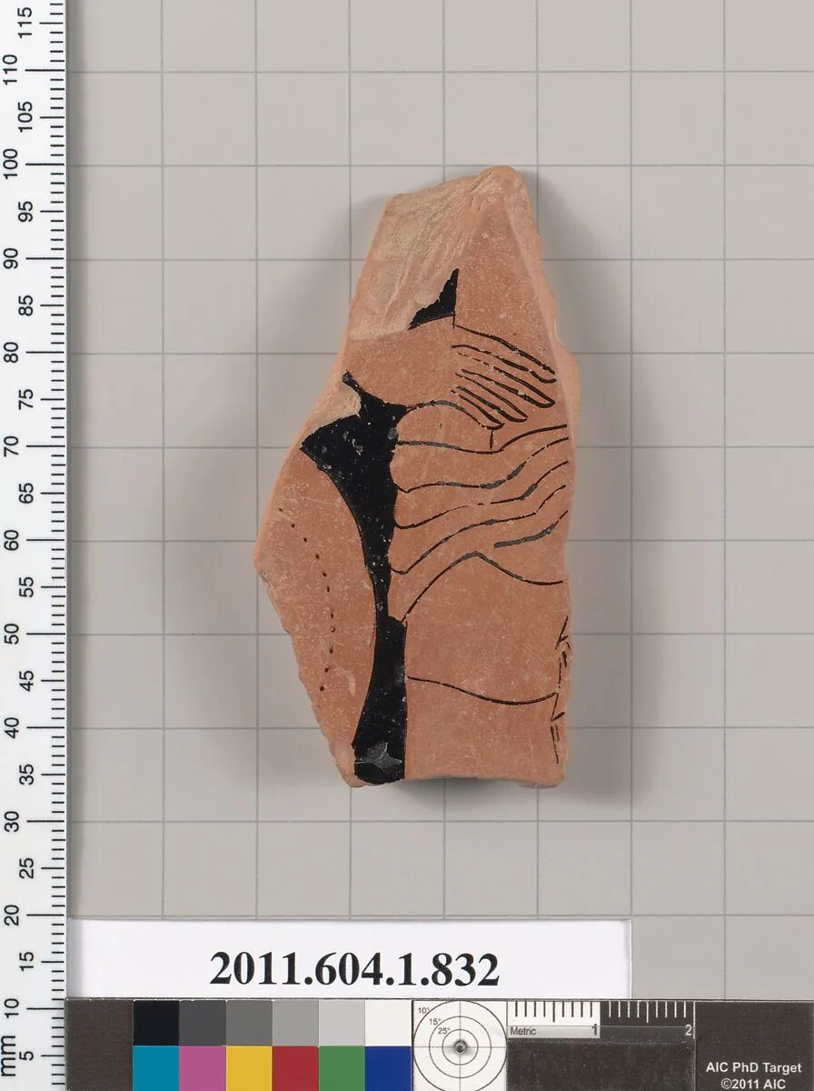 Terracotta fragment of a kylix (drinking cup) — Unknown