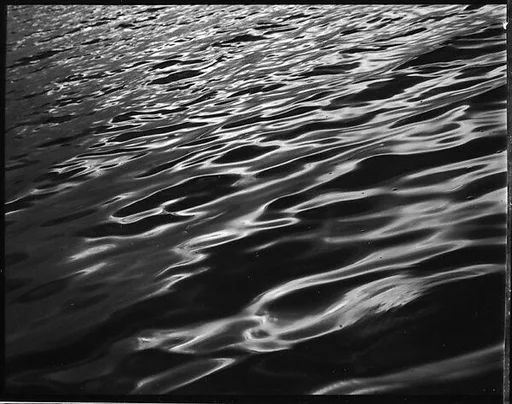 [Water, From Dayboat in Everglades, Florida]