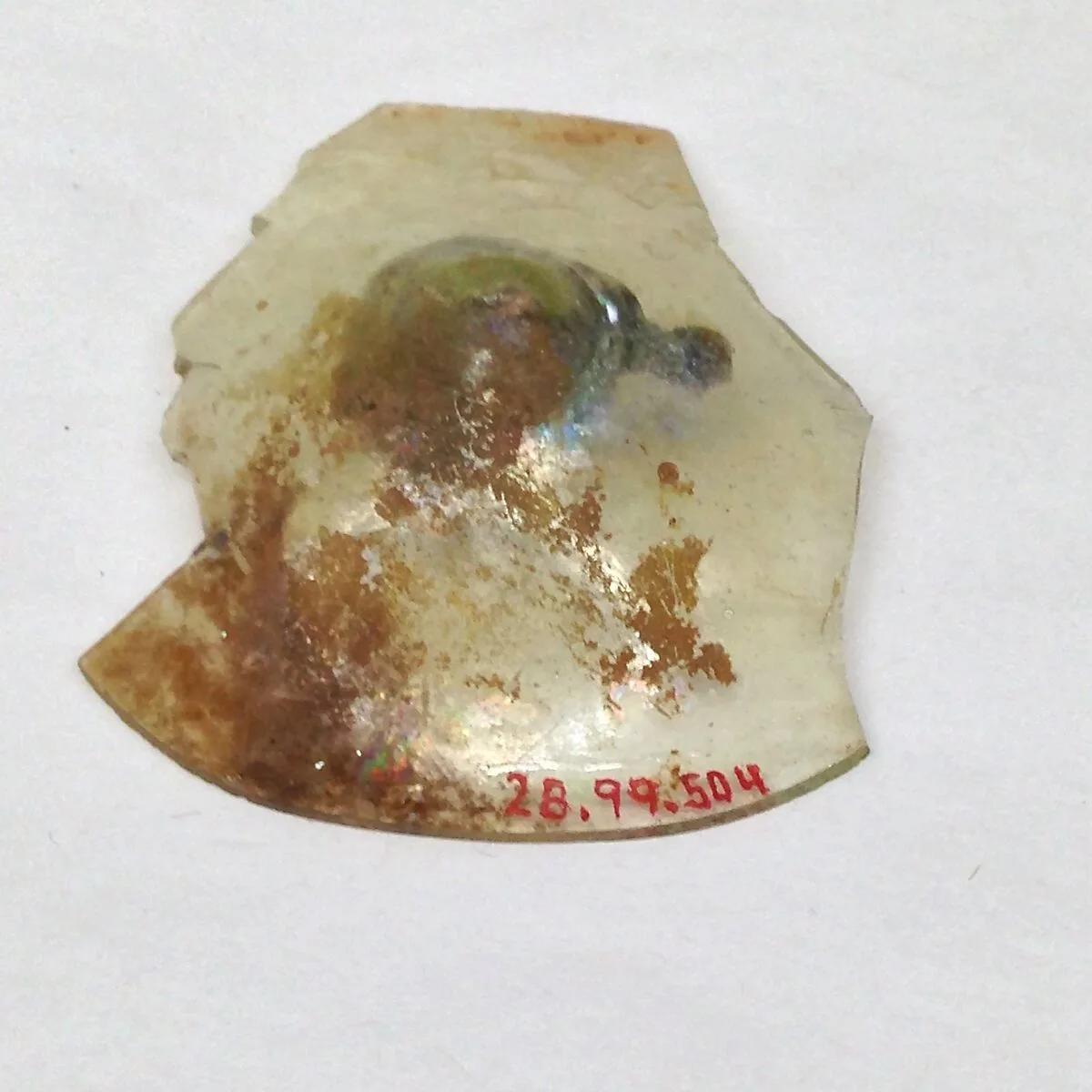 Fragment — Unknown