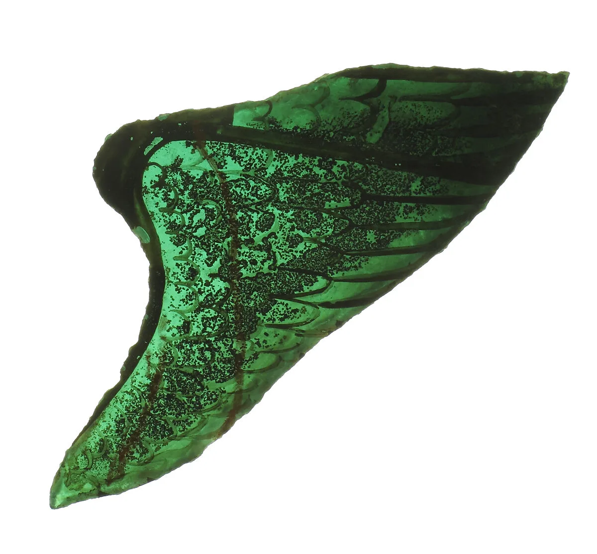 Glass Fragment — Unknown