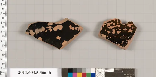 Terracotta fragments of kylikes (drinking cups)