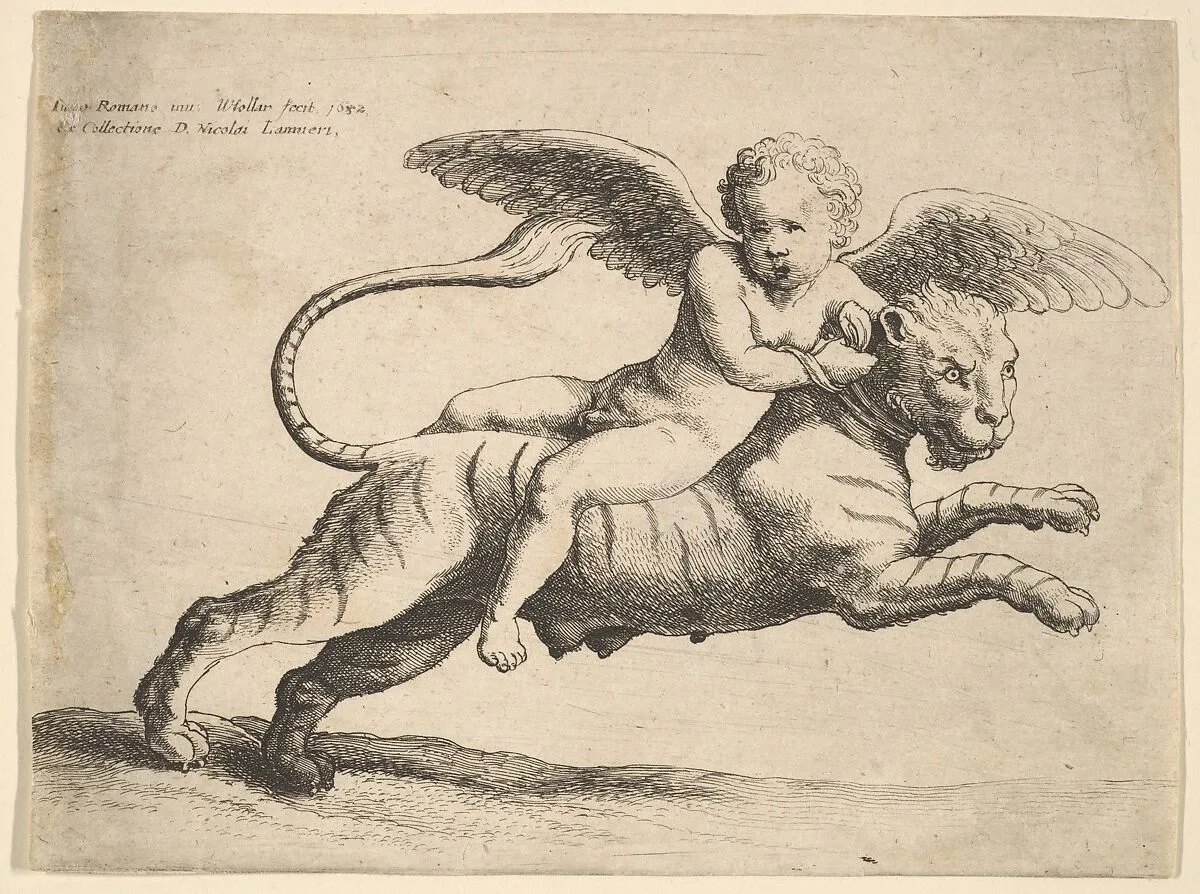 Cupid on a tiger — Wenceslaus Hollar|Giulio Romano