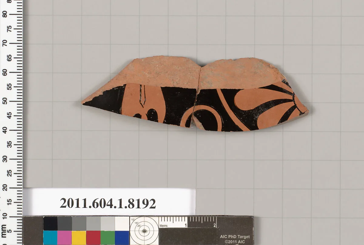 Terracotta fragment of a kylix (drinking cup) — Unknown