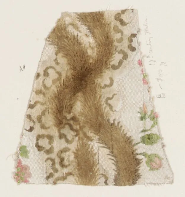 Fragment — Unknown