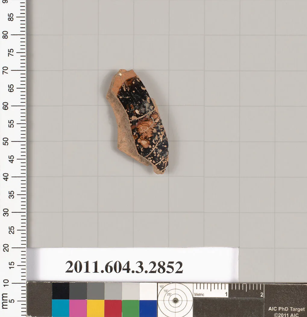 Terracotta fragment of a closed shape — Unknown