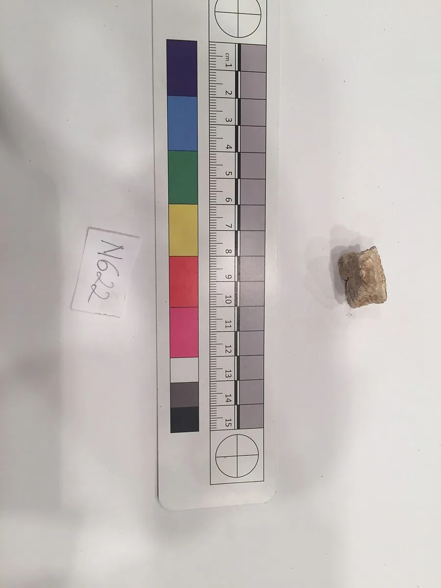 Stucco Fragment — Unknown