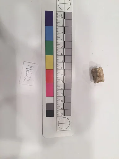 Stucco Fragment
