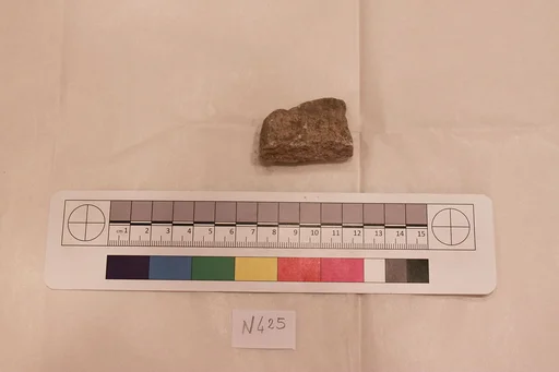 Stucco Fragment