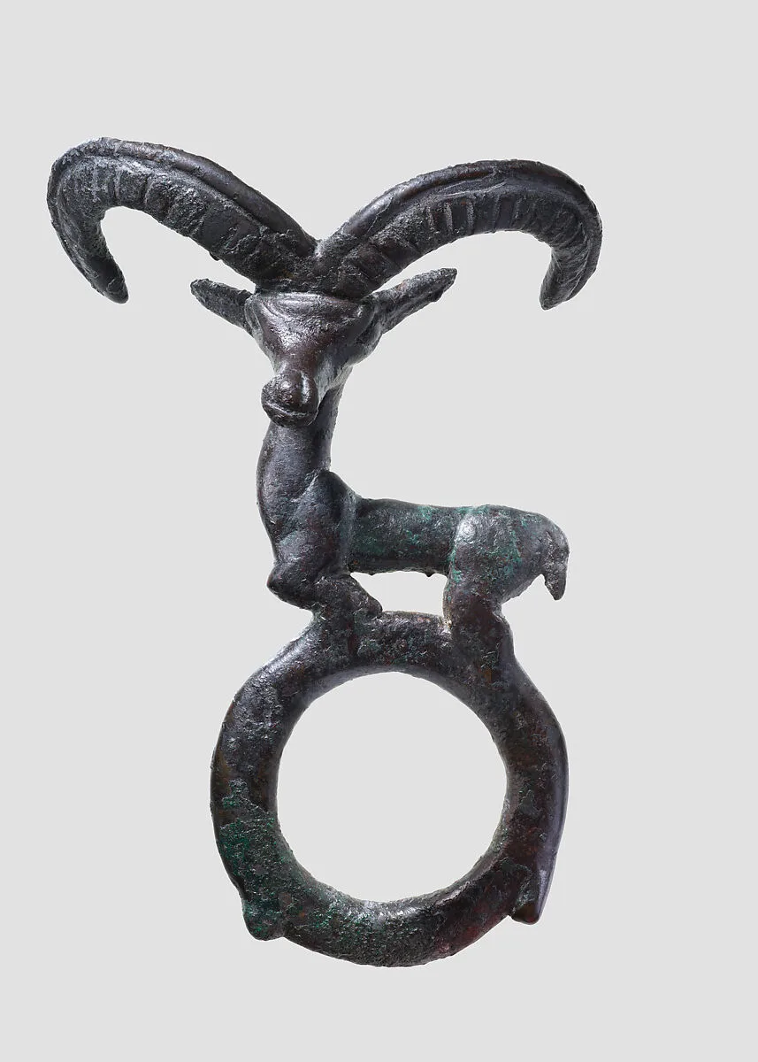 Harness ring — Unknown