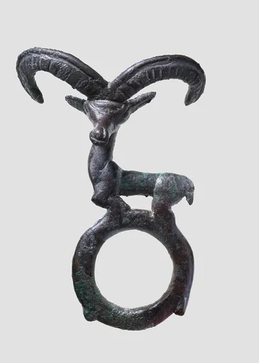 Harness ring