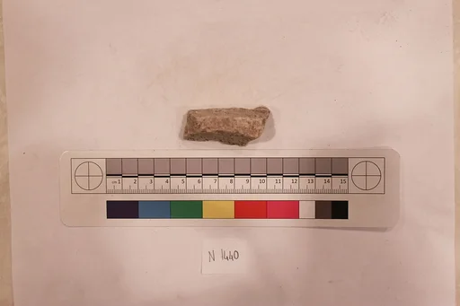 Stucco Fragment