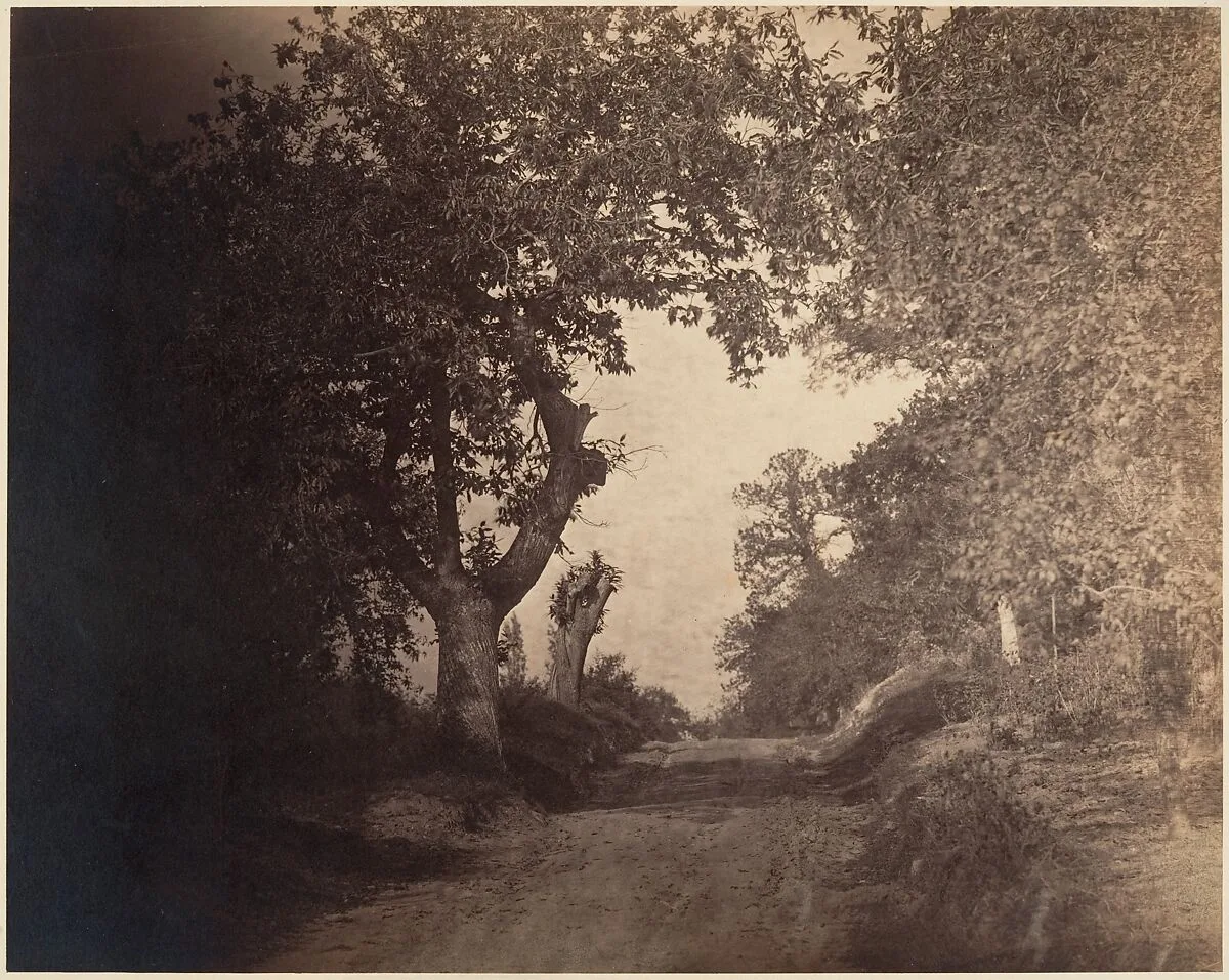 Fontainebleau, chemin sablonneux montant — Gustave Le Gray