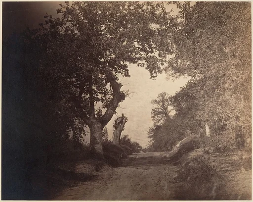 Fontainebleau, chemin sablonneux montant