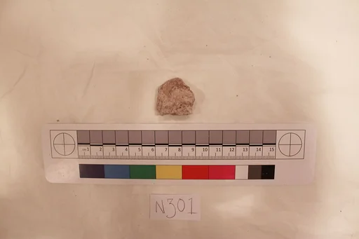 Stucco Fragment