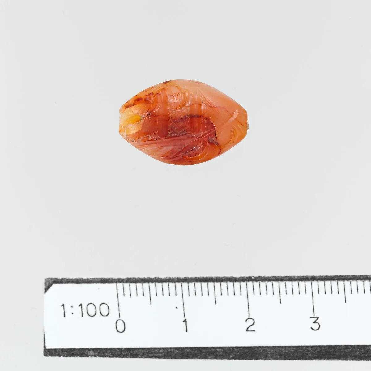Seal — Unknown