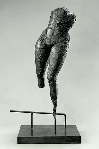 Torso