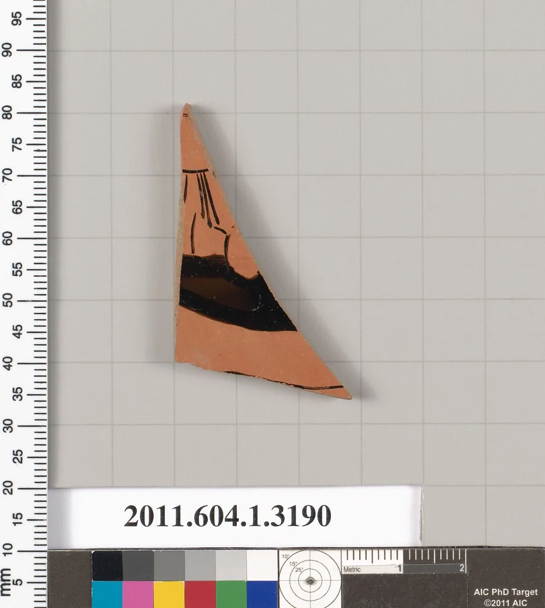 Terracotta fragment of a kylix (drinking cup) — Unknown
