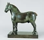 Percheron Stallion: Rhum — Herbert Haseltine