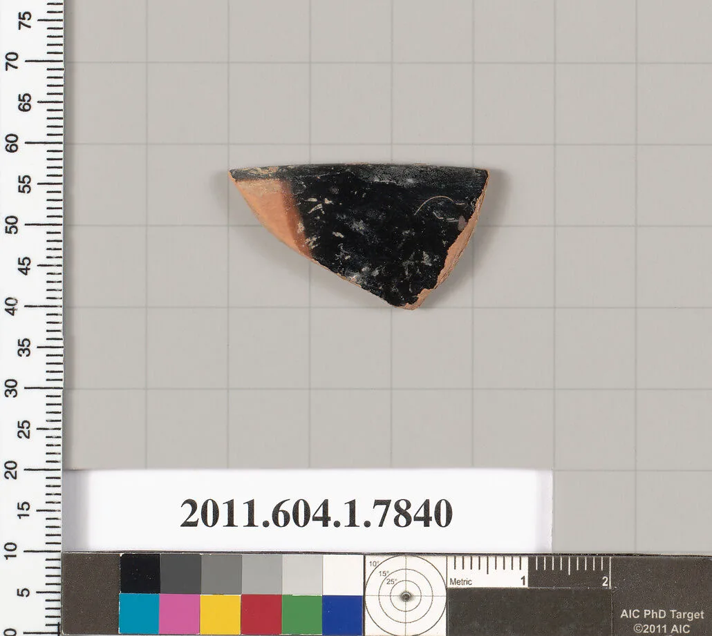 Terracotta fragment of a kylix (drinking cup) — Unknown