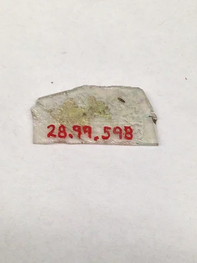 Fragment