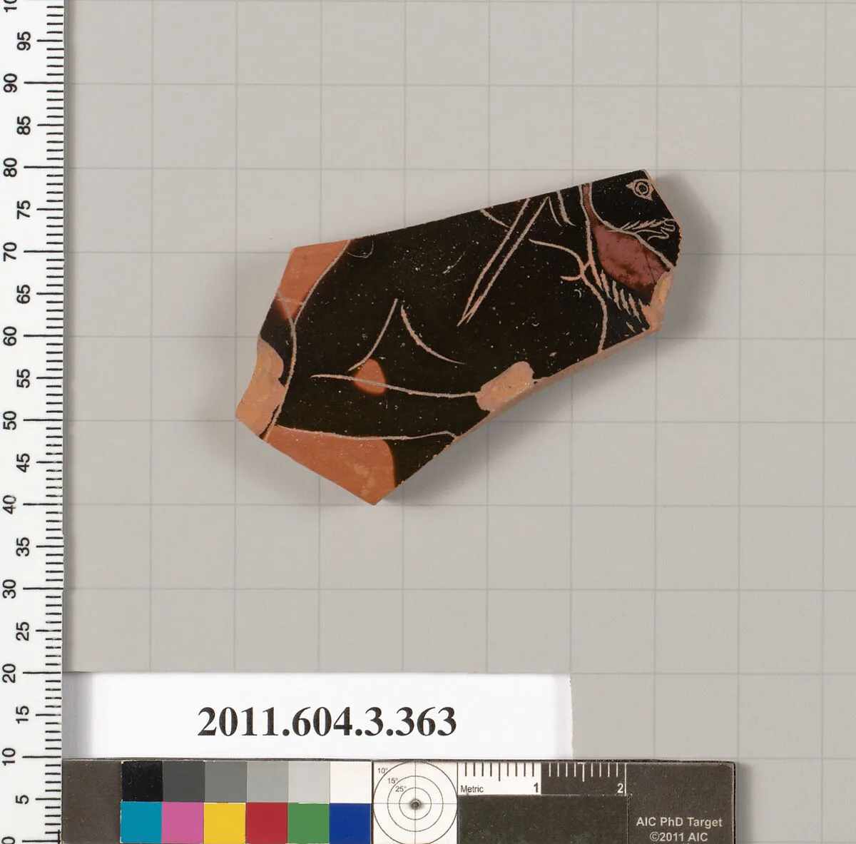 Terracotta fragment of a neck-amphora (jar) — Unknown
