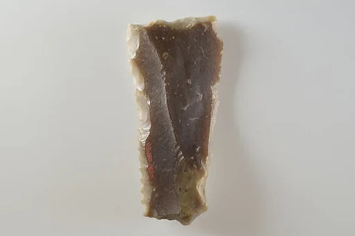Sickle Insert