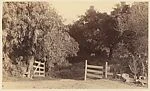 [A Wooden Gateway, a White House, a Country Road, and a Forest Glen]